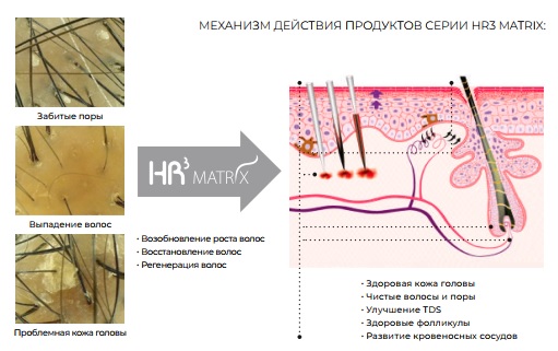 Геносис 1.jpg