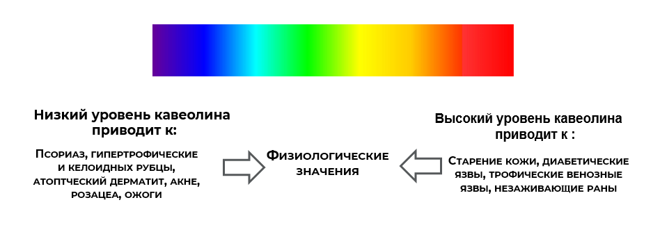 Screenshot_3.png Screenshot_3.png
